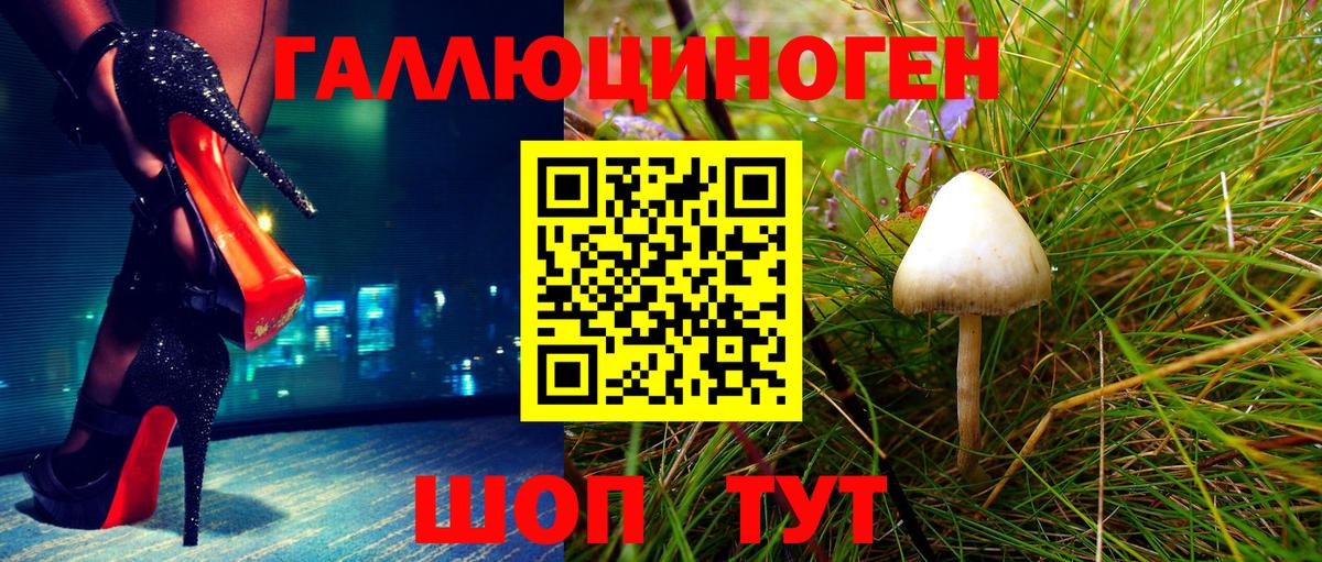 Саров  как найти закладки  Вход с VPN  Галлюциногенные грибы Psilocybine cubensis 
