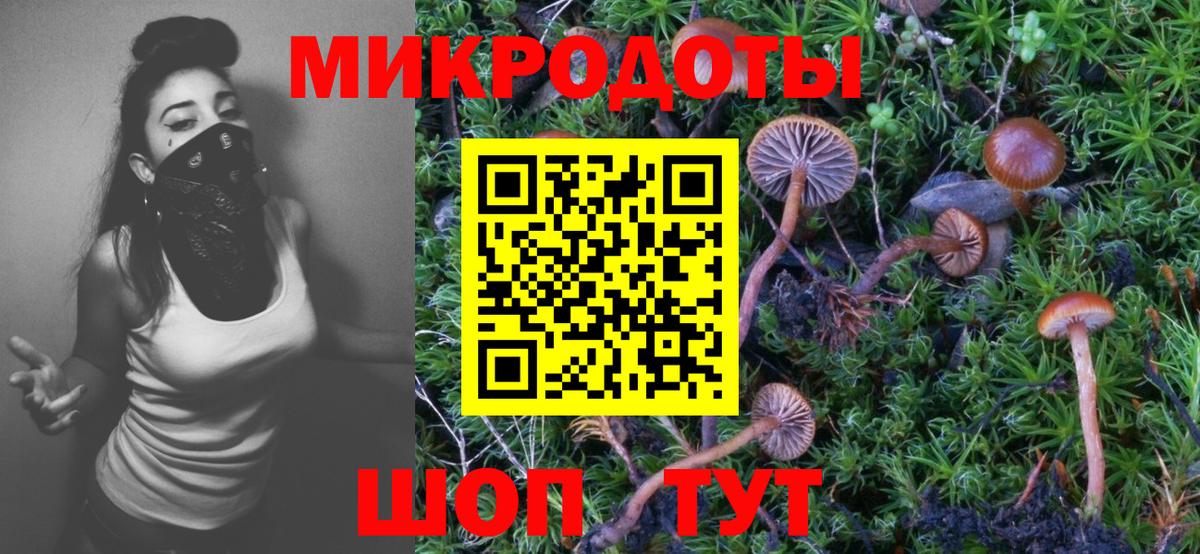 Галлюциногенные грибы ЛСД Саров